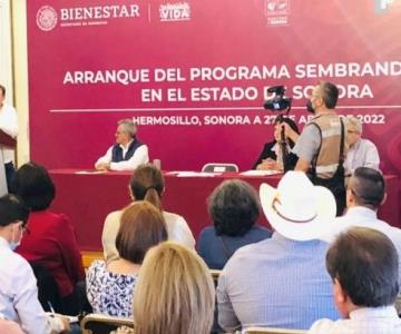 Programa Sembrando Vida buscará impulsar la ecología en Sonora