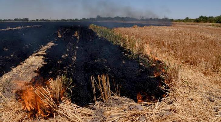 Llaman a agricultores de Navojoa a evitar la quema de gavilla