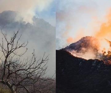 Proceden legalmente contra los responsables del incendio en la Sierra de Álamos