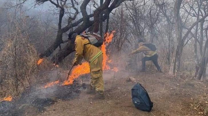 Procederán legalmente contra responsables del incendio en la Sierra de Álamos