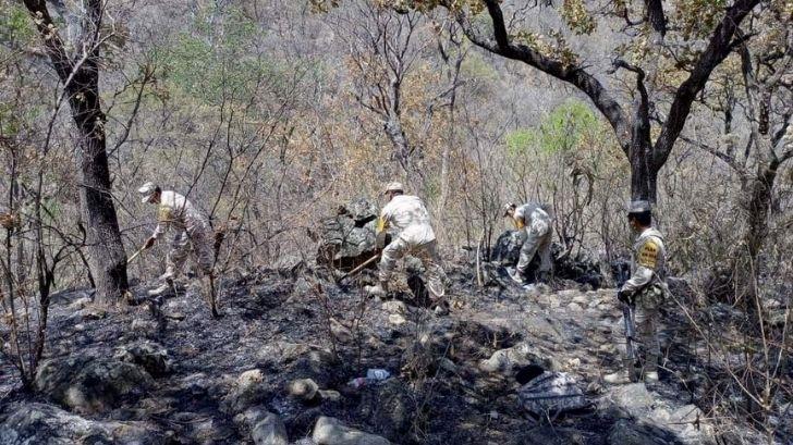 Logran controlar incendio en Sierra de Álamos al 85%