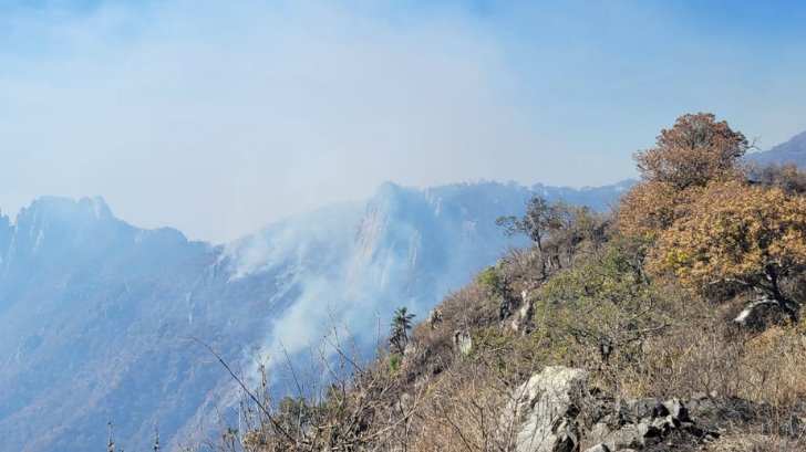 Ejido La Aduana, los más afectados por el incendio en la Sierra de Álamos