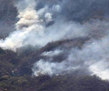 Avanza el proceso legal contra los causantes del incendio forestal en la Sierra de Álamos