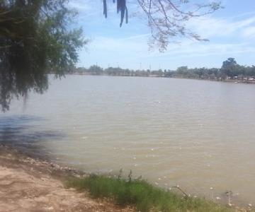 Recurrirán a pesca de control en la Laguna del Náinari