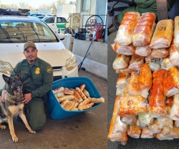 Agentes caninos encuentran más de 40 kilos de Fentanilo en la frontera