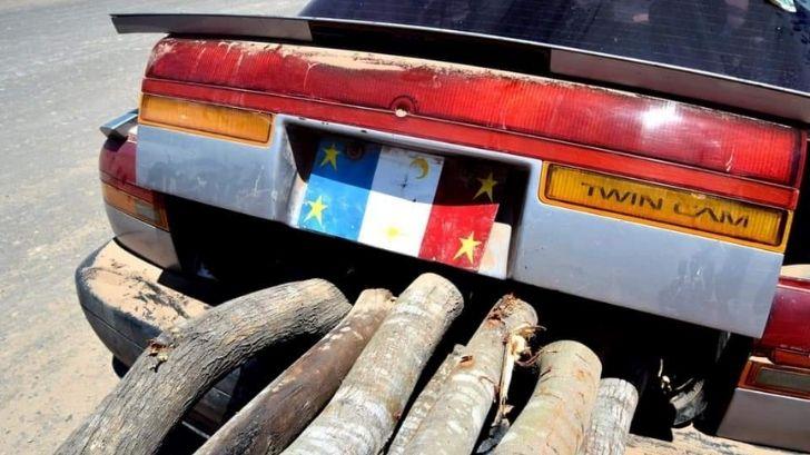 Van 35 vehículos detenidos con placas de la Etnia Yaqui