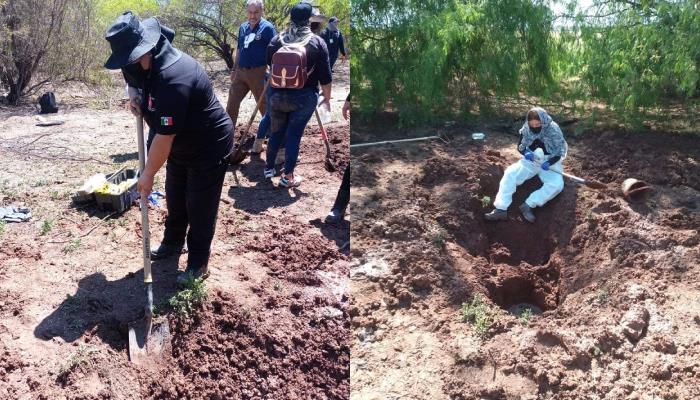 Rastreadoras de Ciudad Obregón hallan 8 cuerpos en el ejido Nueva Casa de Teras