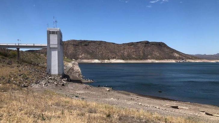 Sequía afecta a cultivo en el Valle del Yaqui