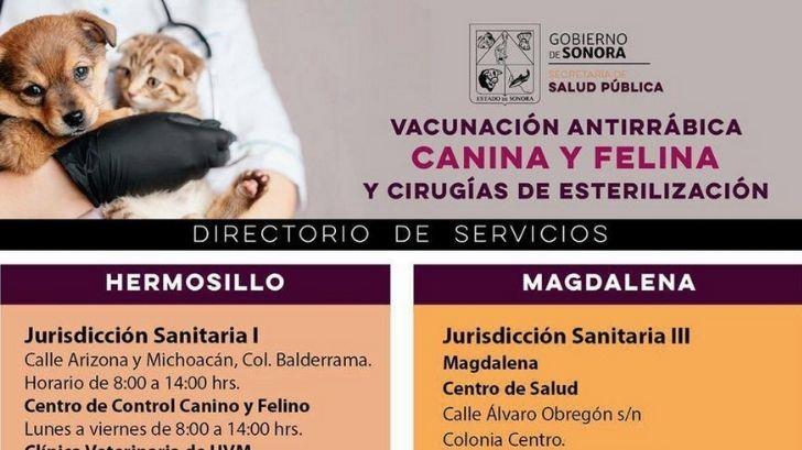 Vacuna a tu mascota contra la rabia; módulos de salud en Sonora