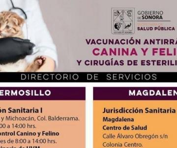 Vacuna a tu mascota contra la rabia; módulos de salud en Sonora