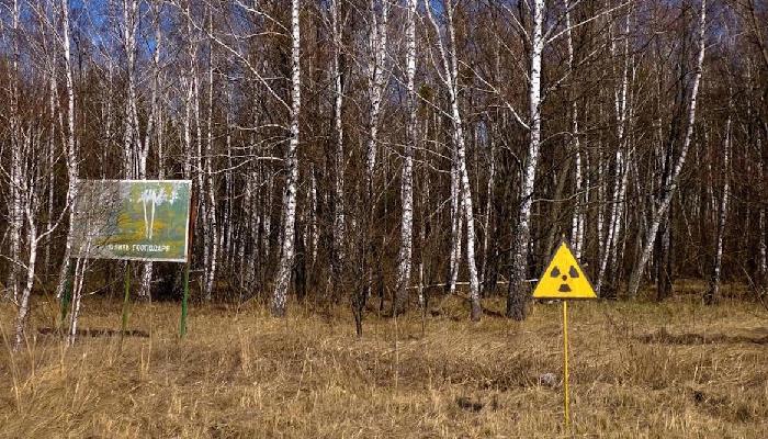 Pronostican un año de vida a militares rusos que invadieron Chernobyl