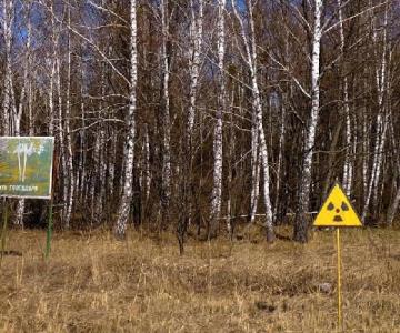 Pronostican un año de vida a militares rusos que invadieron Chernobyl