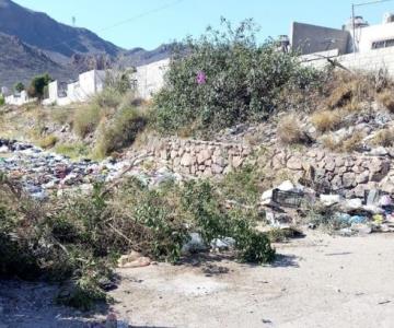 Harán limpieza en arroyos de Guaymas previo a la temporada de lluvias