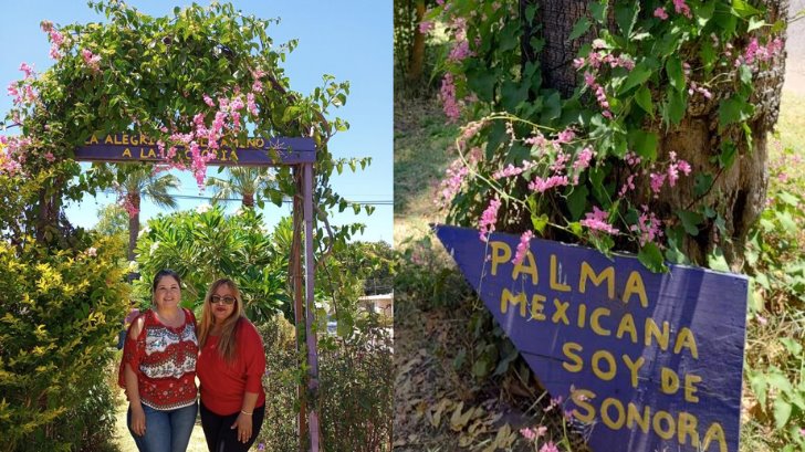 Bosque de la Alegría cumple 4 años; cuenta con 500 plantas y 60 especies distintas