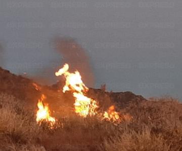 De nueva cuenta, cerro del Bachoco sufre incendio