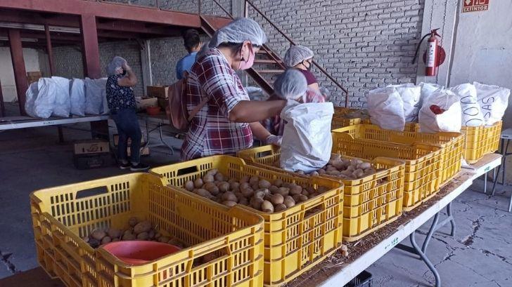 Recaudan alimento para afectados por pandemia en el sur de Sonora