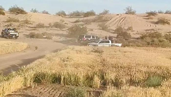 Encuentran un cuerpo cerca de escuela en el Ejido La Grullita