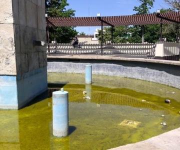 Aguas verdes regresan a la fuente del Jardín Juárez