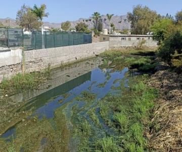 Regresan aguas estancadas a fraccionamiento de San Carlos
