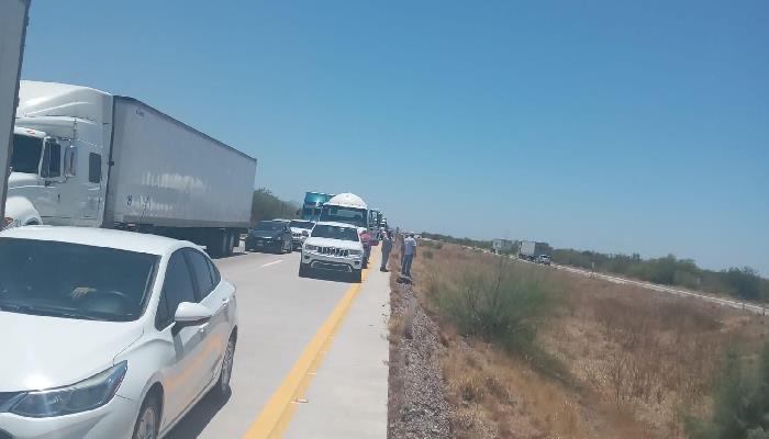 Arrollado en la carretera Hermosillo-Guaymas quedó diseminado en el asfalto