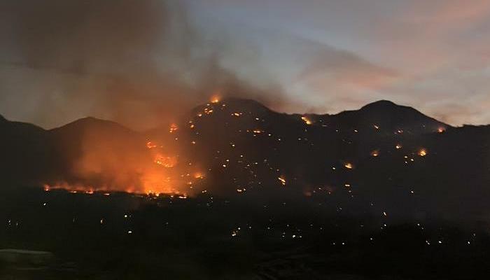 Incendio en Cerro del Bachoco arrasó con 60 hectáreas