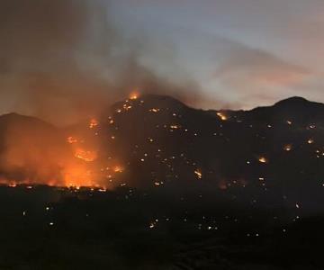 Incendio en Cerro del Bachoco arrasó con 60 hectáreas