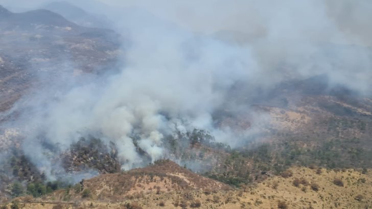 Incendio forestal en Sahuaripa podría superar el de la Sierra de Álamos