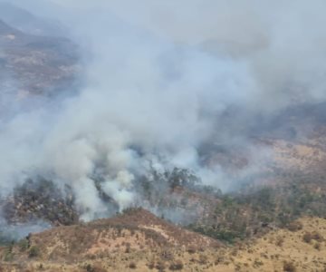 Incendio forestal en Sahuaripa se extiende a Chihuahua