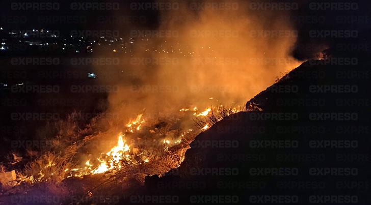 Guaymas: se registra incendio forestal en la colonia San Vicente