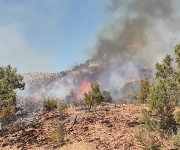 Combaten incendio forestal activo en Nácori Chico