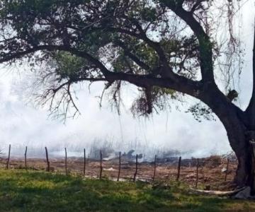 Navojoa: denuncian ecocidio en el Río Mayo a manos de empresa