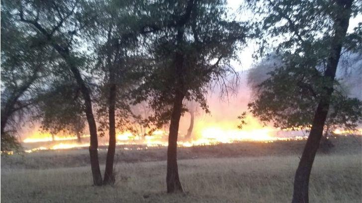 Alertan por incendios forestales en Nogales en temporada de sequía