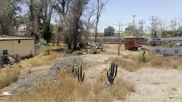 Parque Infantil Ostimuri; Mundo Zafari desiste de demanda