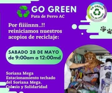 Pata de Perro invita a jornada de reciclaje en favor al rescate de animales