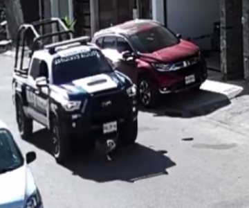 Consterna video de una patrulla atropellando a un perrito en Sinaloa