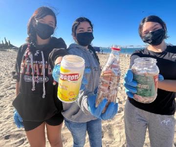 Desintoxican las playas de Bahía de Kino recolectando 20 mil colillas de cigarro