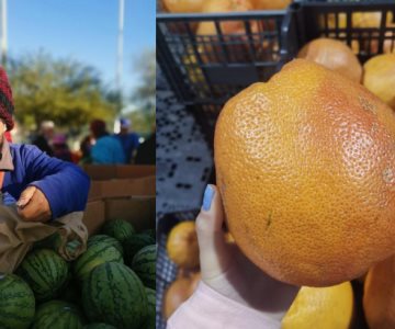 El 17% de la producción de frutas y verduras termina en la basura