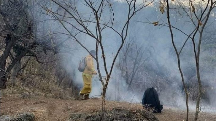 Altas temperaturas aumentan incendios en un 70% en Álamos