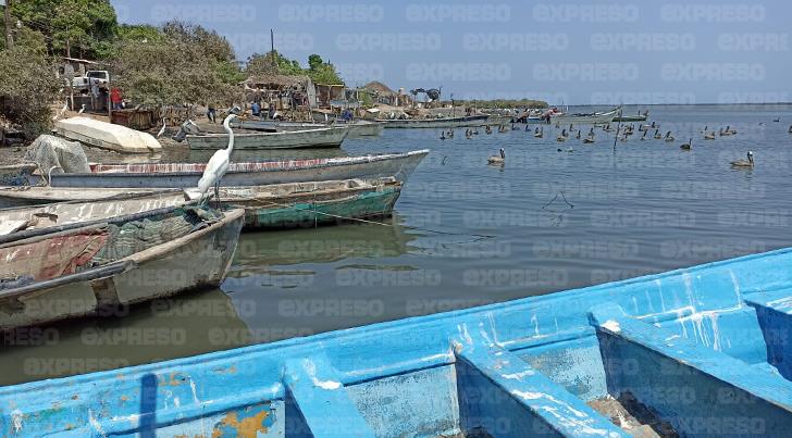 Pescadores del Puerto de Yavaros 'no ven la luz al final del túnel'