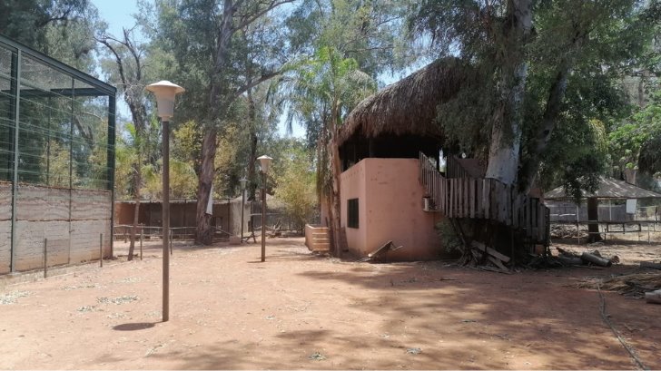 Arranca restauración de lo que fue el zoológico del Parque Infantil de Ciudad Obregón